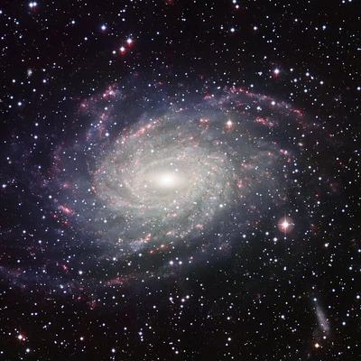 Bild von NGC 6744