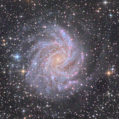 Bild von NGC 6946