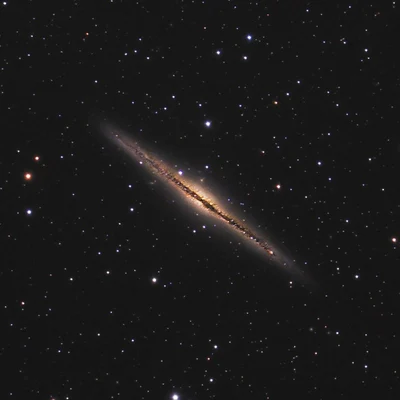 Bild von NGC 891