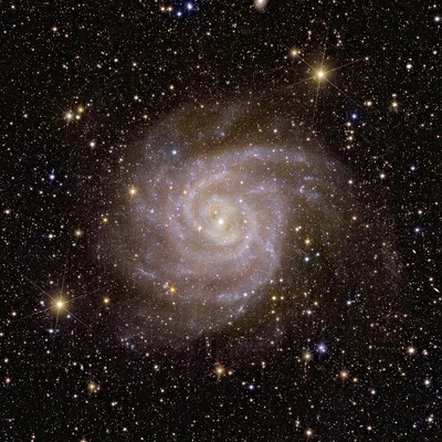 Bild von IC 342