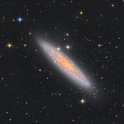 Bild von NGC 253
