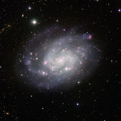 Bild von NGC 300