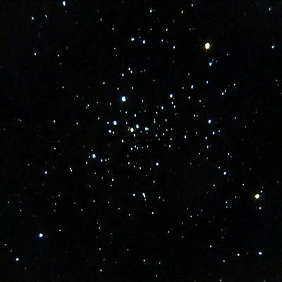 Bild von NGC 2516