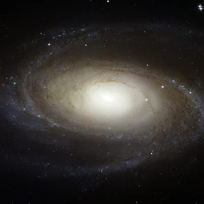 Bild von M81